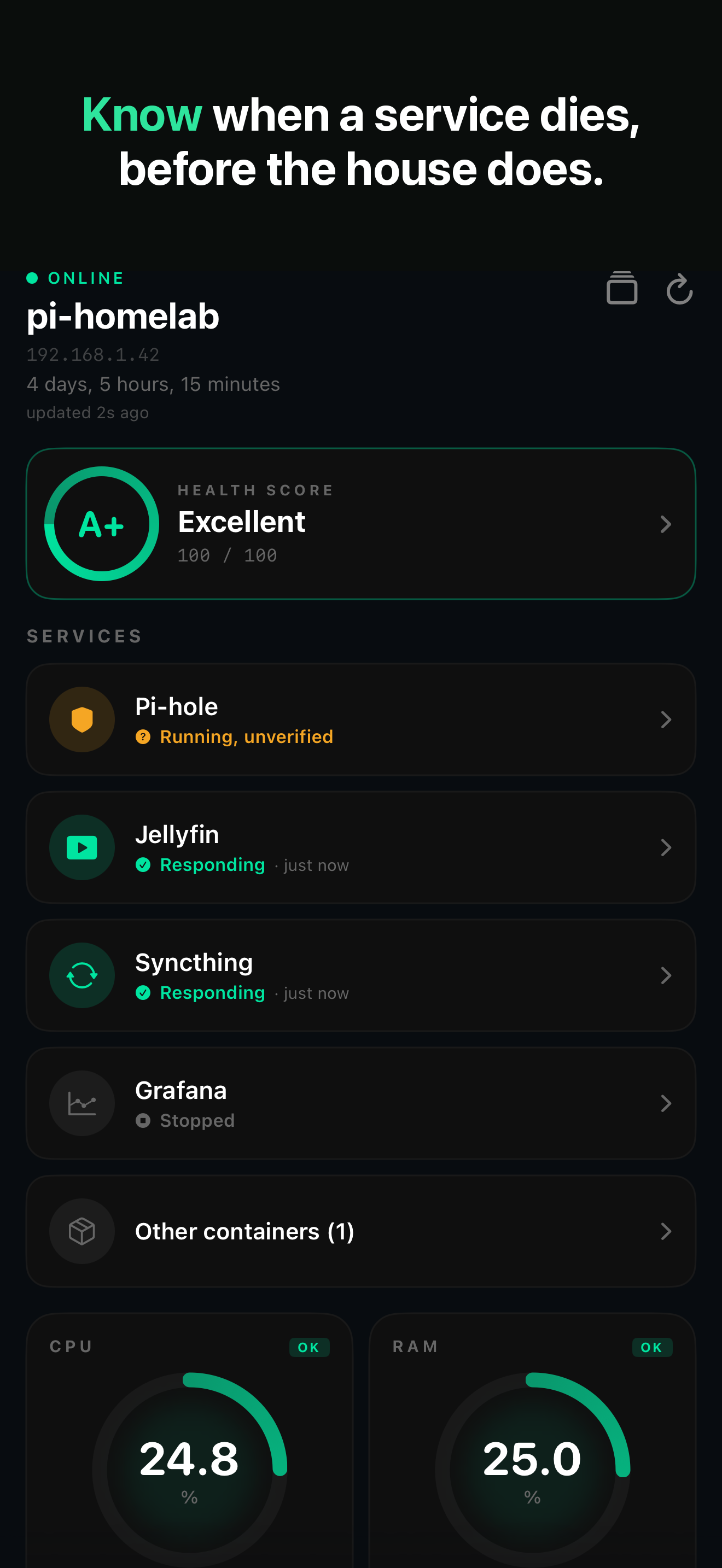 Service cards showing Pi-hole, Jellyfin and Syncthing responding, Grafana stopped